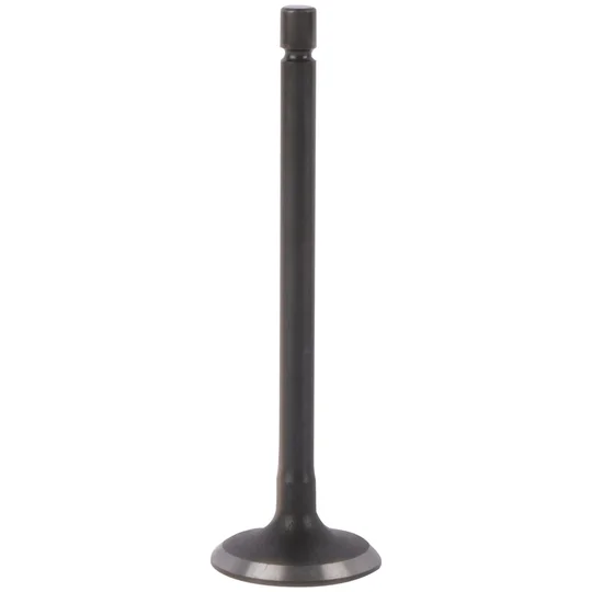 2026_06_03_1495551